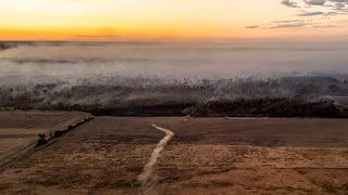 Ticker zum Waldbrand in Gohrischheide: Die Lage am Freitagmorgen