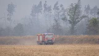 Feuerwehr kämpft gegen Waldbrände: Wie es um die Ausrüstung steht