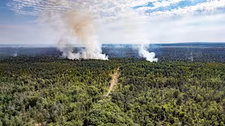 Ticker zum Waldbrand in der Gohrischheide: Evakuierungen von Jacobsthal und Heidehäuser bleiben bestehen