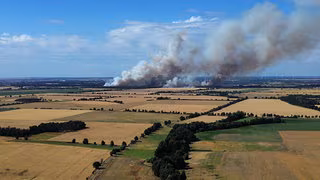 Waldbrand bei Zerbst: Feuerwehr wohl bis Montag im Einsatz