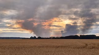 Feuerwehr bringt Waldbrand bei Zerbst unter Kontrolle