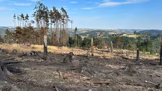 Waldbrand: Zahl der Feuerwehrleute soll verringert werden - Bodentruppen suchen Glutnester