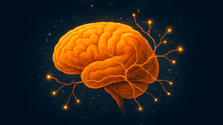 Wenn das Gehirn flüstert