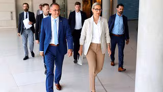 Wie Politikwissenschaftler den neuen AfD-Verhaltenskodex einordnen