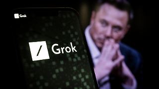 Elon Musks KI Grok dreht v&ouml;llig durch