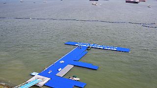 Im Wasser vor Singapur warten besondere Probleme auf Wellbrock