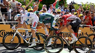 Tim Merlier besiegt Jonathan Milan im Sprint der Giganten