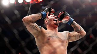 Warum im Käfig nicht jeder gegen jeden kämpft