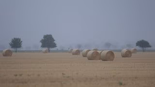 Unwetterfront im Laufe des Tages erwartet