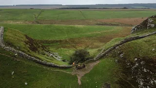 «Robin-Hood-Baum» gefällt: Täter müssen jahrelang ins Gefängnis