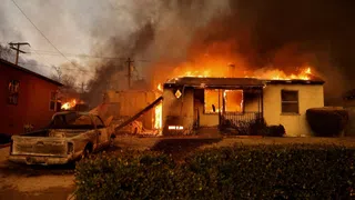 Waldbrandrisiko steigt – Versicherer verzeichnen Rekordschäden