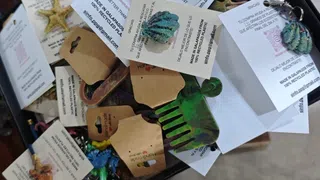 Wie «kostbares Plastik» dabei hilft, bedrohte Vögel zu schützen