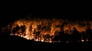 In Südfrankreich wütet erneut ein grosser Waldbrand