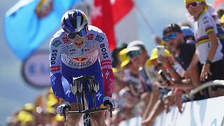 Senkrechtstarter Lipowitz macht Deutschland ganz wuschig