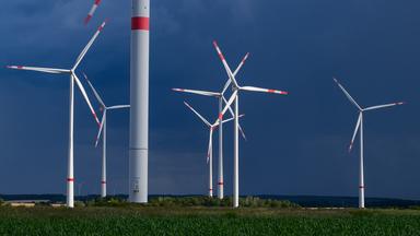 Wie grün ist Schwarz-Rot?