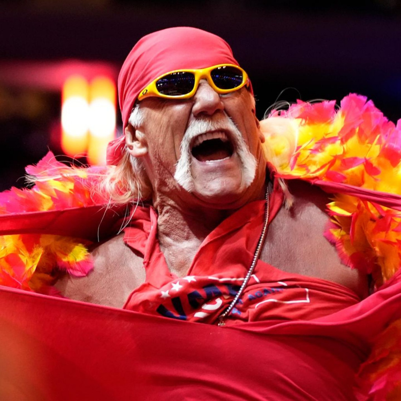 Wrestling-Legende Hulk Hogan ist tot