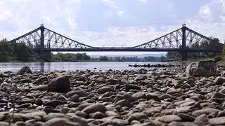 Wochenlang Niedrigwasser: Die Zukunft des Schiffsverkehrs auf der Elbe