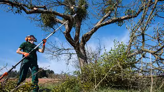 Nachfolger gesucht: Landwirtschaftsbetriebe ringen um Nachwuchs