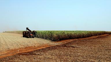 USA gehen gegen Brasilien vor