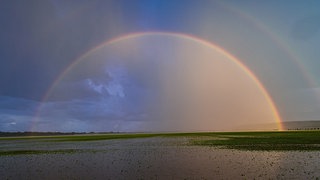 Heißer Start, kühles Ende – so war das Juli-Wetter in Mitteldeutschland
