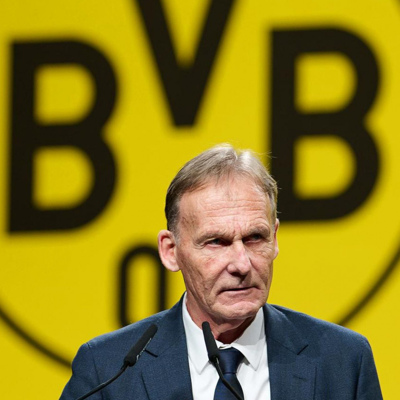 Warum der BVB juristisch gegen die AfD vorgeht