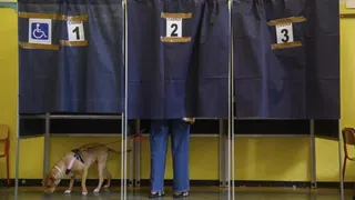 E-Collecting: Eine Vitaminspritze für Italiens Demokratie