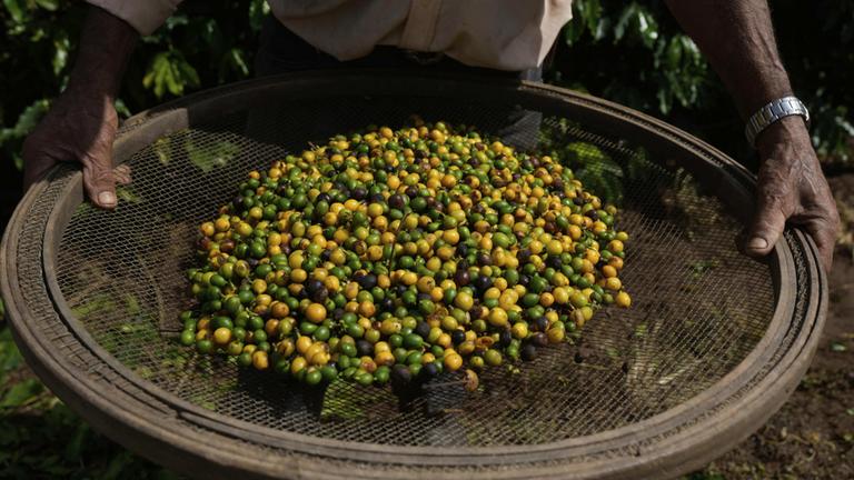 "Wir müssen von vorn anfangen"