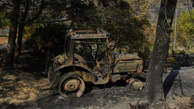 Waldbrand in Südfrankreich unter Kontrolle