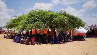 Al‑Shabaab rückt vor – Mogadischu droht die Einkreisung