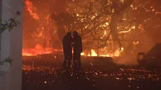 Waldbrände und Hitzewellen plagen Europa