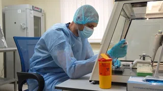 Ein Labor in Odessa untersucht bis zu 100 Gefallene pro Tag