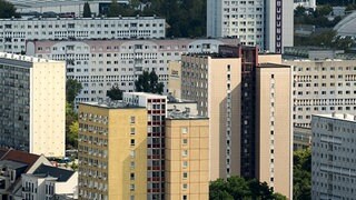 "Luxus-Mieten" für Bürgergeldempfänger – Was stimmt an Merz’ Aussagen?