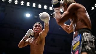 Zwei japanische Boxer sterben nach Hirnblutungen