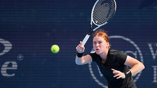 Deutscher gelingt Tennis-Sensation, Zverev macht's souverän