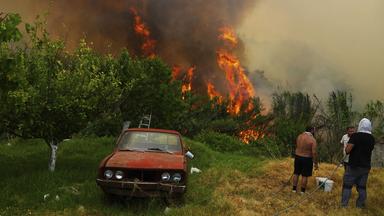 Waldbrände in Südeuropa vielerorts außer Kontrolle
