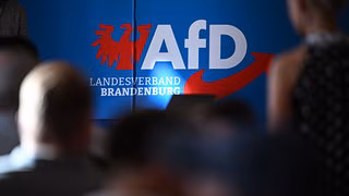 Gutachten zur AfD Brandenburg: "Erwiesen rechtsextremistisch"