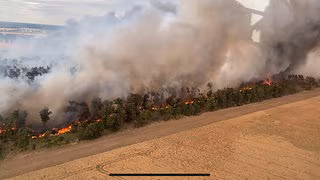 Umweltorganisation WWF warnt vor eskalierenden Waldbränden in Deutschland