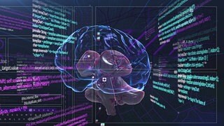 Gehirn-Computer-Schnittstelle entschlüsselt innere Sprache in Echtzeit