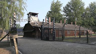 Neue Datenbank macht Opfer von Menschenversuchen sichtbar