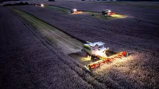 Bauernverband: Getreideernte wieder besser als im Vorjahr