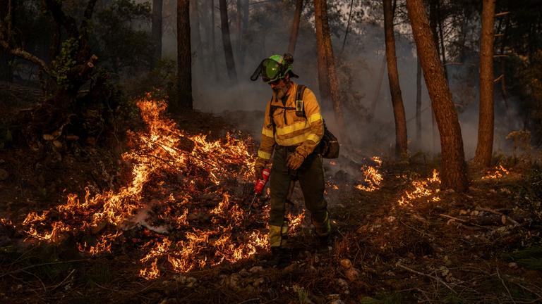 Waldbrände in Spanien vernichten riesige Flächen