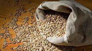 Welche Lebensmittel der Staat für den Notfall bunkert