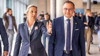 AfD zieht vor das Bundesverfassungsgericht