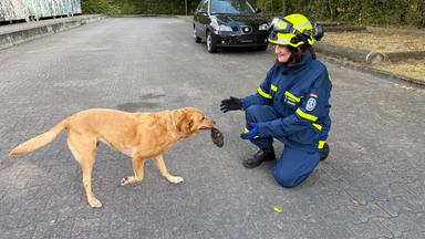 "Das ist für mich wie eine Familie"