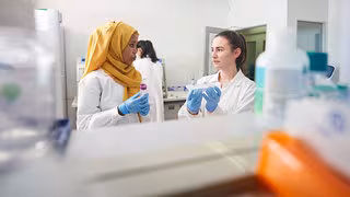 2015 nach Deutschland geflüchtet: Geschafft, beschäftigt, wenig Geld