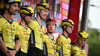 Diebe stehlen Rennstall 18 Räder im Wert von 250.000 Euro