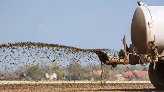 Nitrat und Gülle: EU-Vorgaben gegen Stickstoffbelastung reichen nicht, zeigt Forschung aus Leipzig