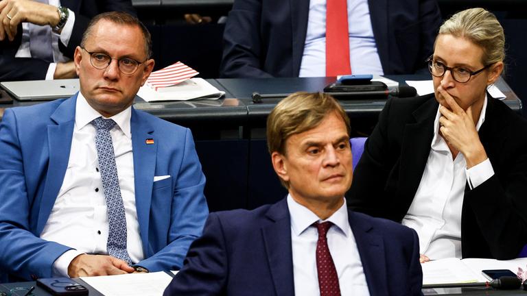 AfD musste bisher 1,1 Millionen Euro Strafe zahlen