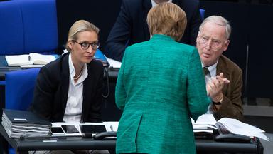 Wie Merkels Flüchtlingspolitik die AfD prägte