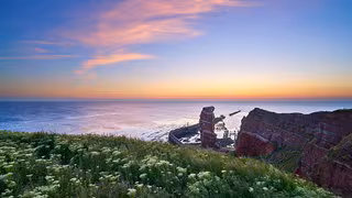 CO2-Speicherung im Boden kein Heilsbringer: Potenzial deutlich überschätzt